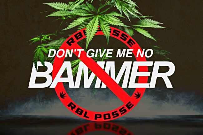 Don't Give Me no Bammer Weed Cover